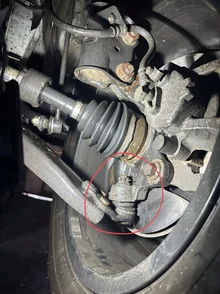 7DC648C4-DAF7-400A-A16B-599B4245F6A0.webp